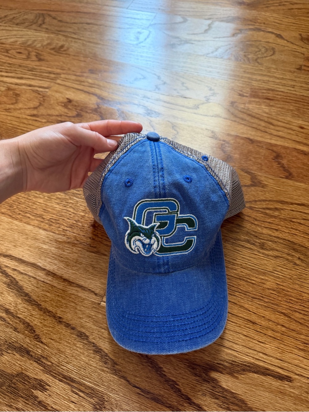 GCSU hat
